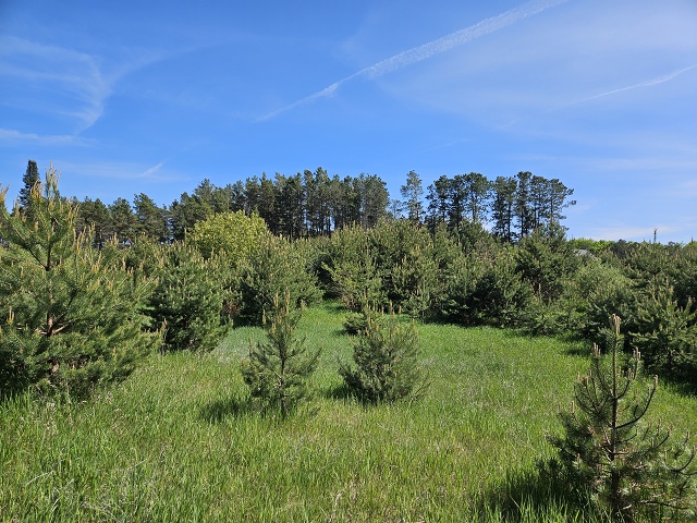 0031 20230526 160736