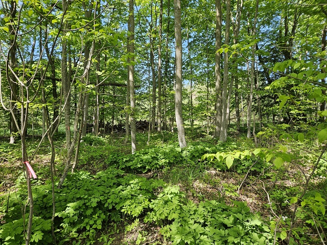 030-20230526 160507 - Copy