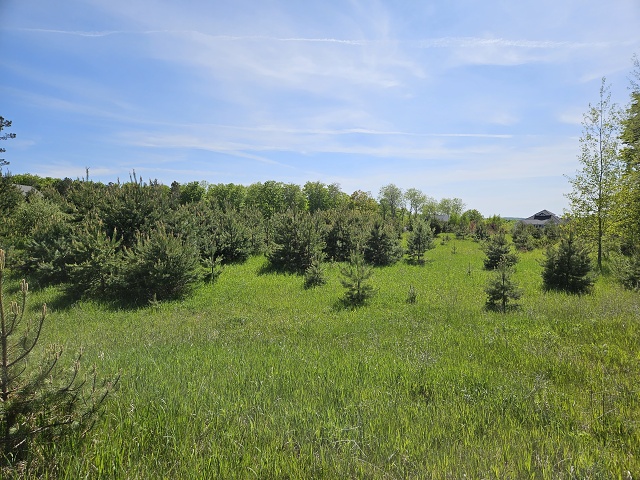 030-20230526 160737 - Copy