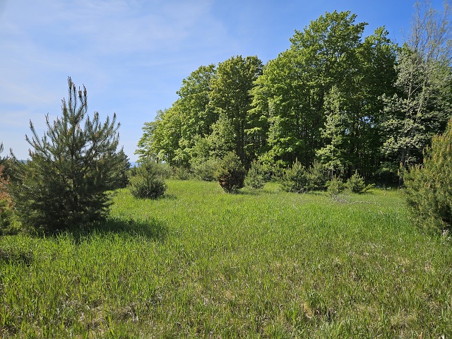 030-20230526 161452 - Copy