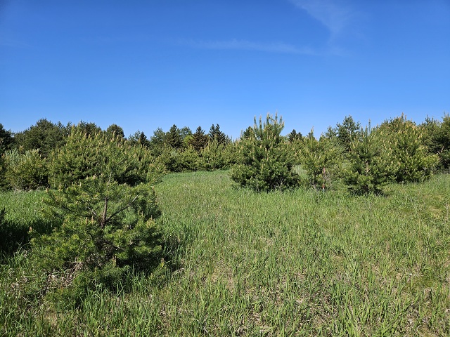 030-20230526 161506 - Copy